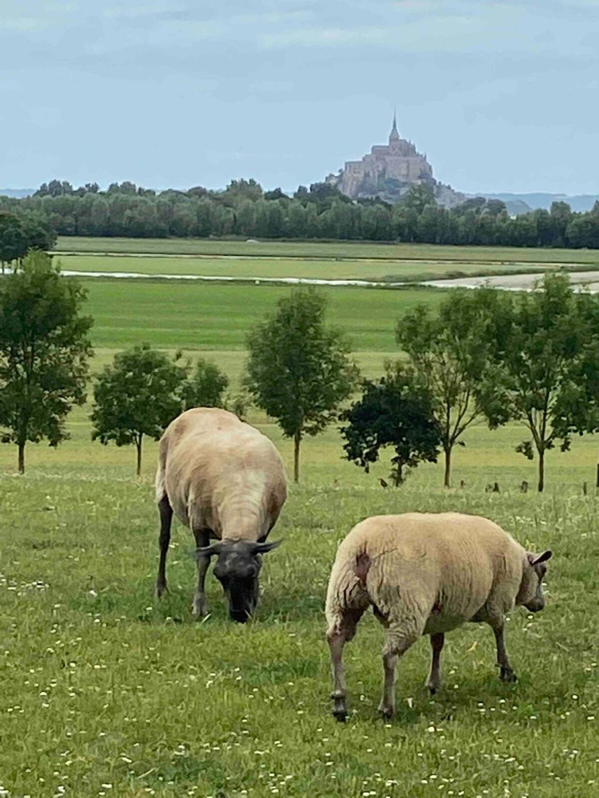 Gites Le Mont Desclos Saint Michel Бовуар Номер фото
